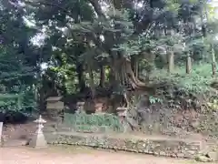 豊田神社(愛媛県)