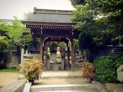 雲龍寺のお墓