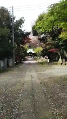 畑子安神社のその他建物