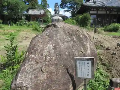般若寺 ❁﻿コスモス寺❁(奈良県)