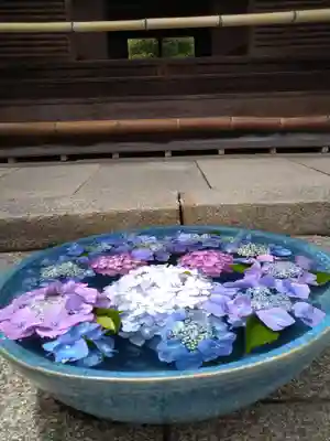 柳谷観音 楊谷寺の手水舎