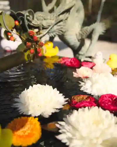 秩父今宮神社(埼玉県)