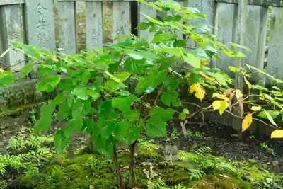 諏訪大社上社前宮(長野県)