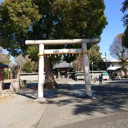 日吉浅間神社の鳥居