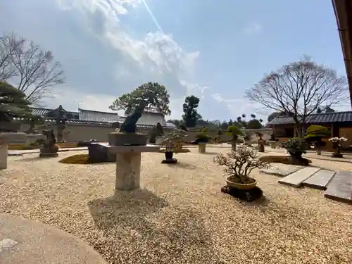 芳春院（大徳寺塔頭）の庭園