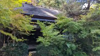 滝口寺(京都府)