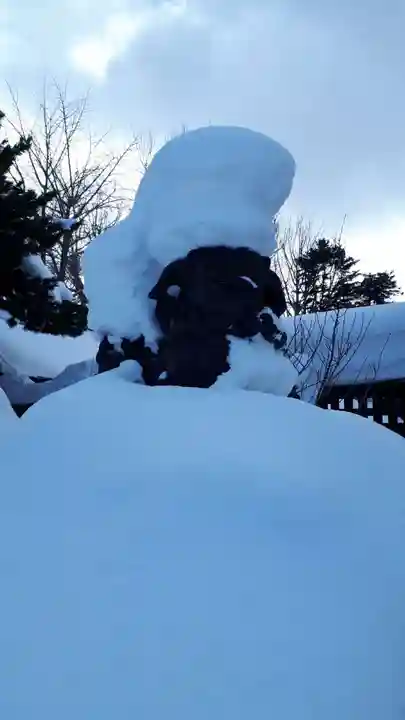 札幌護國神社の狛犬