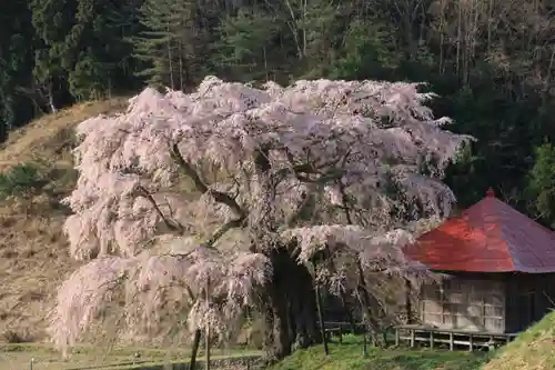 上石不動堂の景色