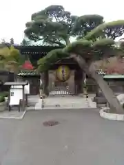 長谷寺の山門