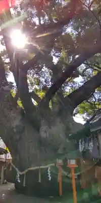 三島神社(大阪府)