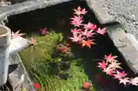 国宝 大法寺の手水舎