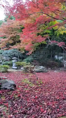 清滝寺徳源院(滋賀県)