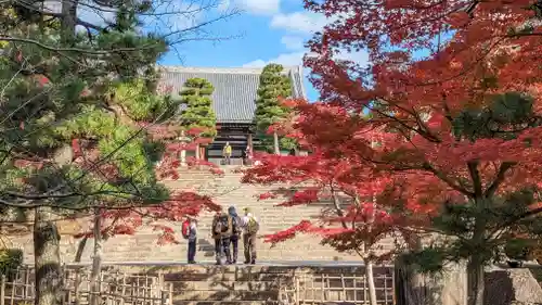 くろ谷 金戒光明寺(京都府)
