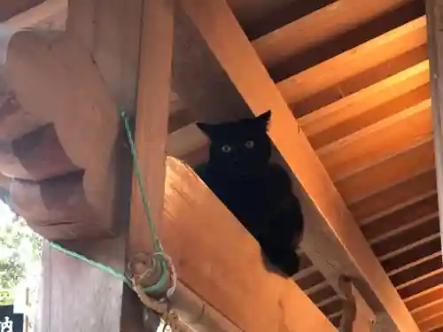 王子神社の動物