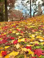 眞田神社の自然