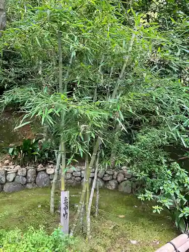 華厳寺（鈴虫寺）の自然