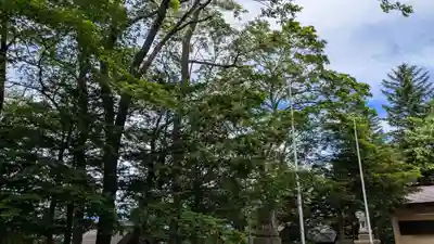 上士幌神社の自然