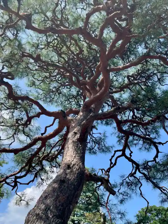 泉沢寺(神奈川県)