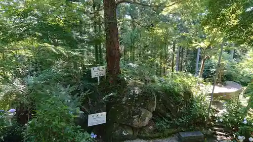 石都々古和気神社の自然