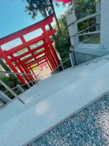 高屋敷稲荷神社の鳥居