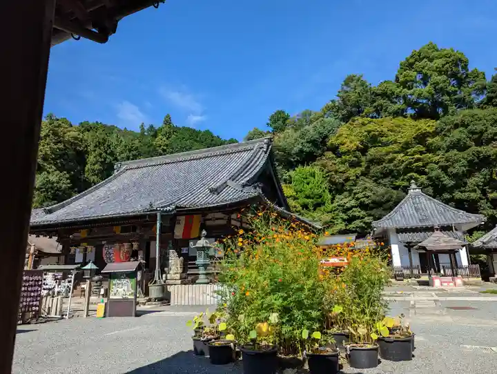 柳谷観音 楊谷寺(京都府)