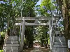 諏訪神社の鳥居