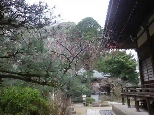 安國論寺（安国論寺）の庭園