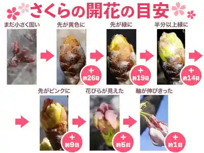 三輪神社(愛知県)