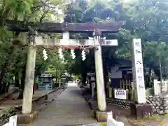 大井神社の鳥居