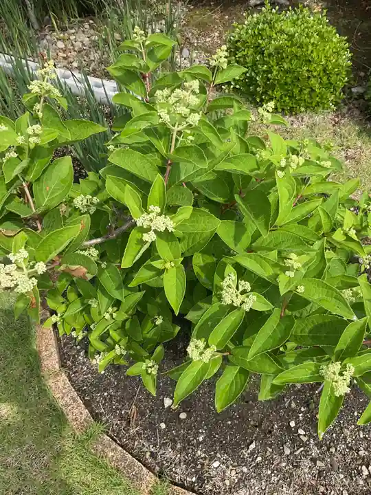 興禅寺(愛知県)