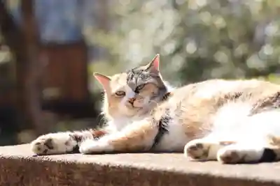 玉野御嶽神社(愛知県)