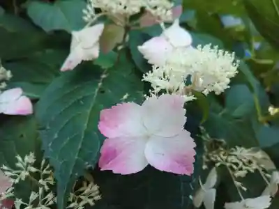 妙楽寺(神奈川県)