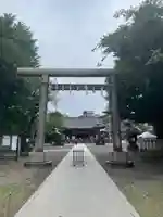 浅草神社の鳥居