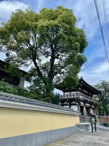 能満寺(神奈川県)