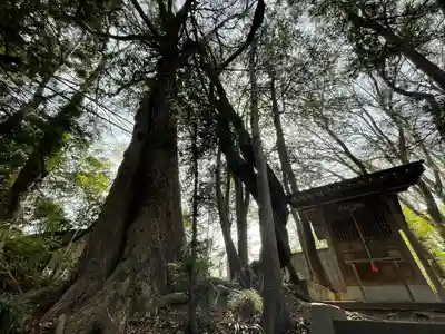 大山祗神社の自然