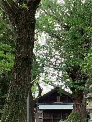 鞆江神社（明地）(愛知県)