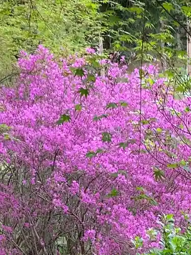 塩船観音寺(東京都)
