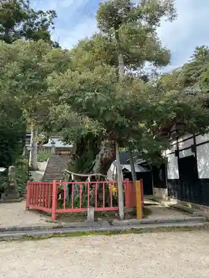 山王宮日吉神社(京都府)