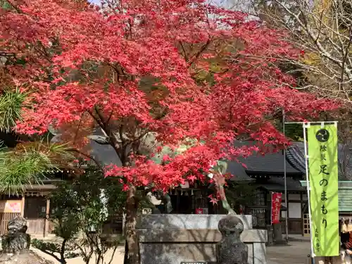 足助八幡宮の自然