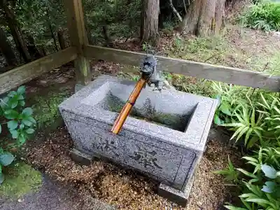 宇佐八幡神社の手水舎