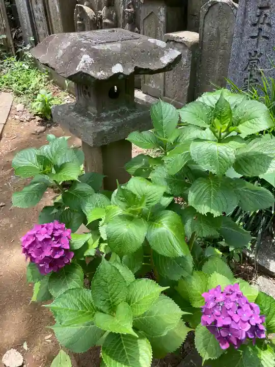 妙楽寺のその他建物