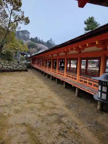 厳島神社(広島県)