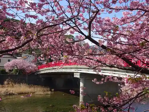 かっぱの寺 栖足寺(静岡県)