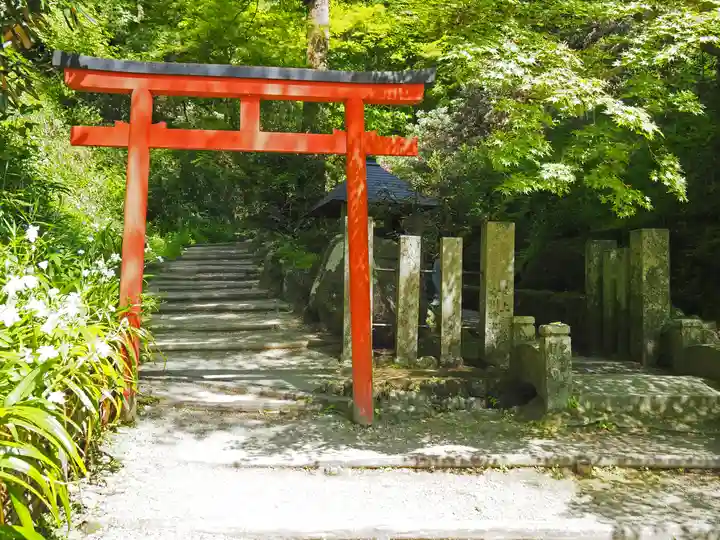 岡寺(龍蓋寺)(奈良県)