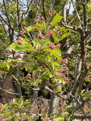 八事山 興正寺(愛知県)