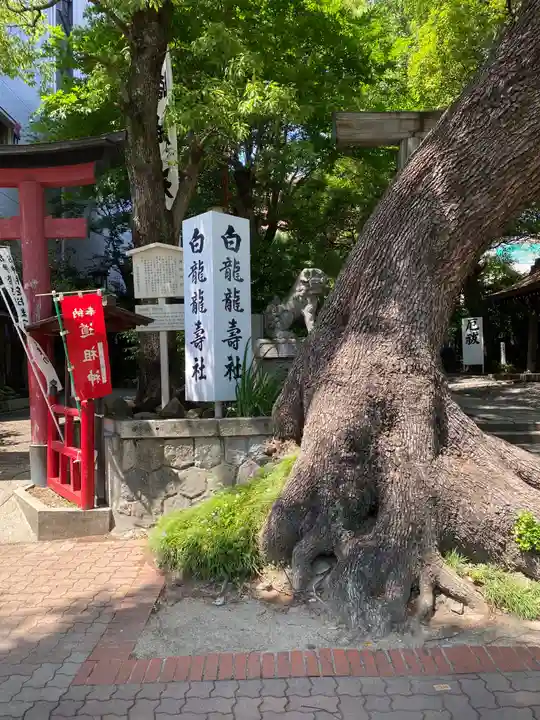 洲嵜神社の自然