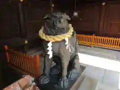 兵庫縣姫路護國神社の狛犬