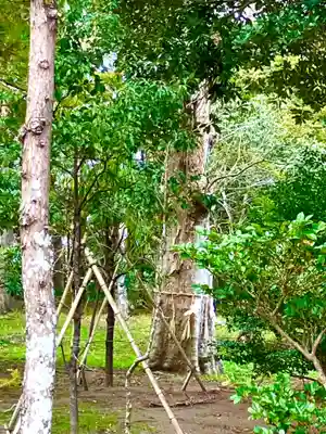 白子神社(千葉県)