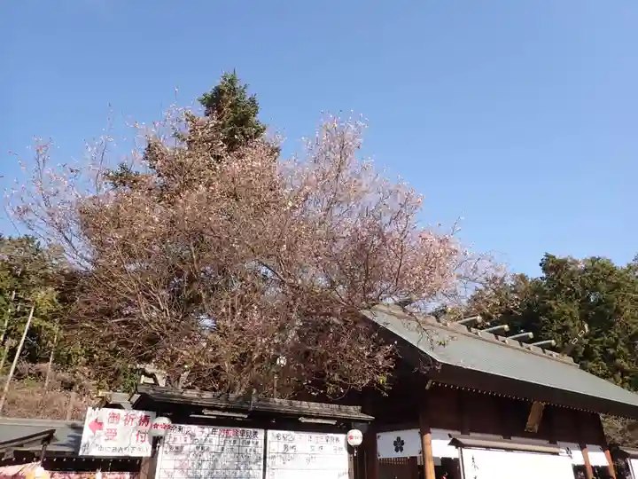 櫻木神社のその他建物