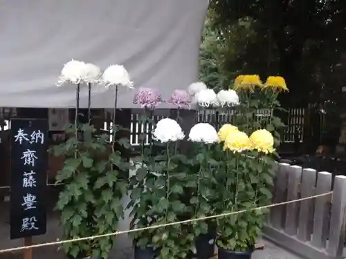 阿佐ヶ谷神明宮(東京都)